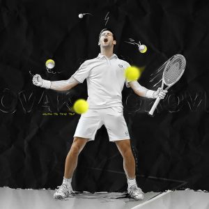 Novak Djokovic Tennis Champion