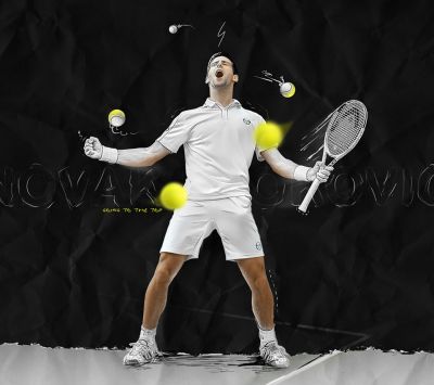 Novak Djokovic Tennis Champion