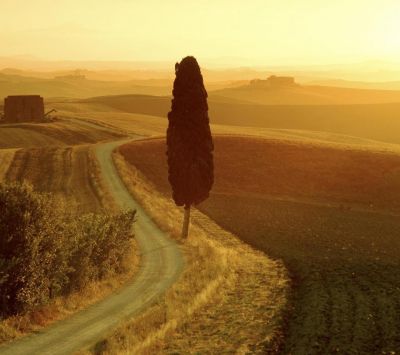 Ruhige Landschaft bei Sonnenuntergang