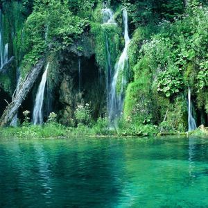 Ruhige Wasserfälle und Üppiges Grün