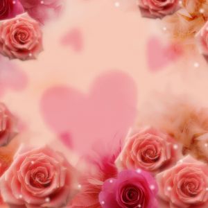 Romantische Rosen und Herzen