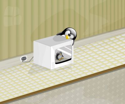 Pinguin in der Mikrowelle