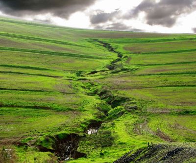 Grüne Landschaft