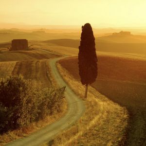 Ruhige Landschaft bei Sonnenuntergang