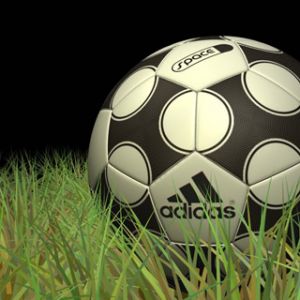 Adidas Fußball auf Gras