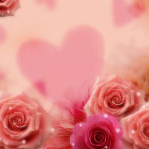 Romantische Rosen und Herzen