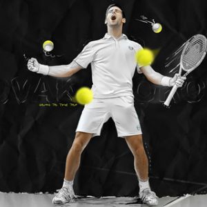 Novak Djokovic Tennis Champion