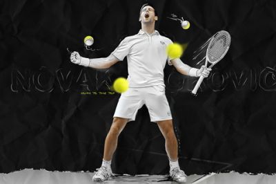 Novak Djokovic Tennis Champion