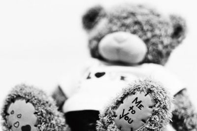 Süßer Teddy Bär Liebe