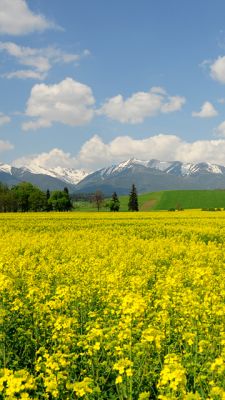 Schöne Berglandschaft