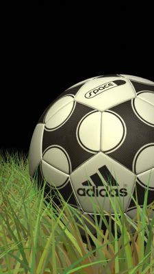 Adidas Fußball auf Gras
