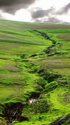 Grüne Landschaft