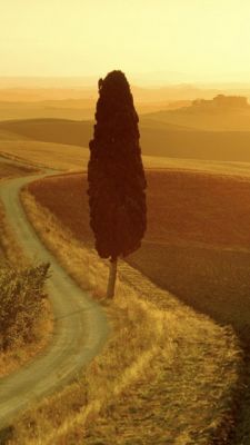 Goldene Sonnenuntergang Landschaft