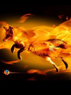 Feuriger Fuchs in Bewegung