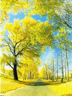 Herbstbäume und Blauer Himmel