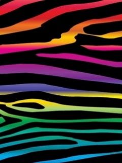 Bunte Zebra-Streifen Muster