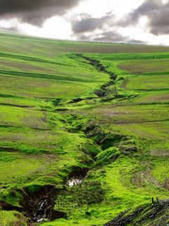 Grüne Landschaft