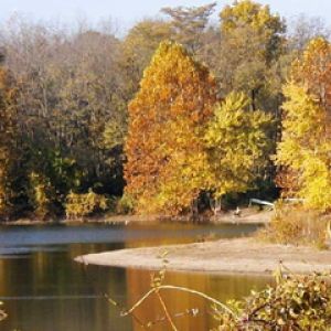 Herbstsee Landschaft
