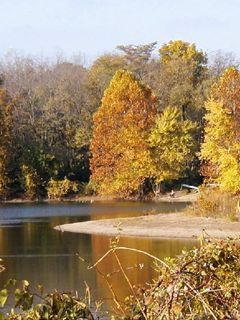 Herbstsee Landschaft