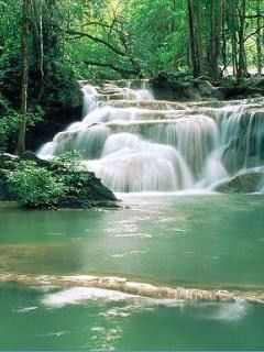 Ruhiger Wasserfall im Üppigen Wald