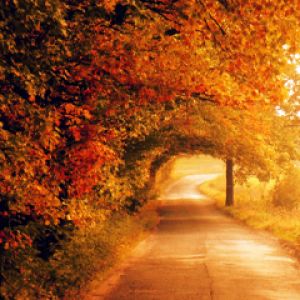 Herbstweg