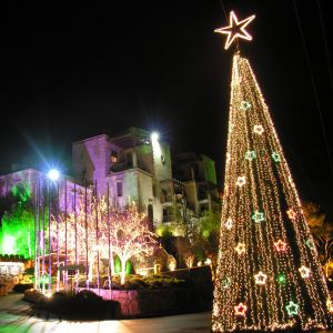 Weihnachtsbaum bei Nacht