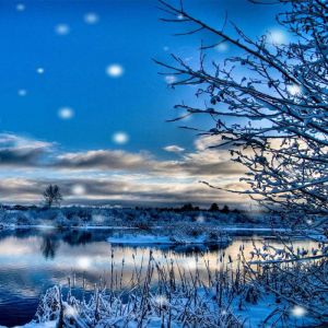Winterlandschaft