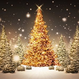 Funkelnder Weihnachtsbaum