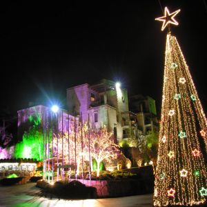 Weihnachtsbaum Nachtlichter