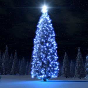 Leuchtender Weihnachtsbaum