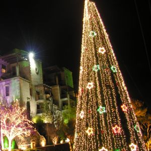 Beleuchteter Weihnachtsbaum