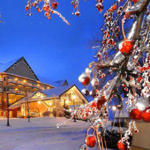 Winterwunder mit Roten Beeren