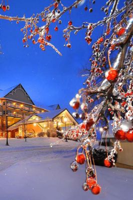 Winterwunder mit Roten Beeren