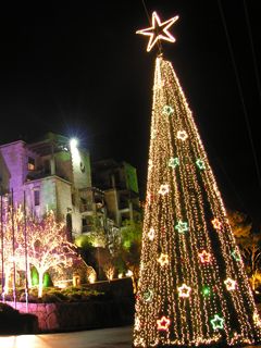 Beleuchteter Weihnachtsbaum