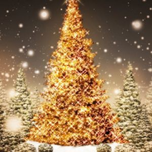 Funkelnder Weihnachtsbaum