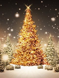 Funkelnder Weihnachtsbaum