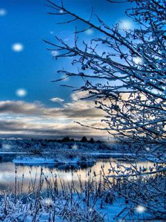 Winterlandschaft