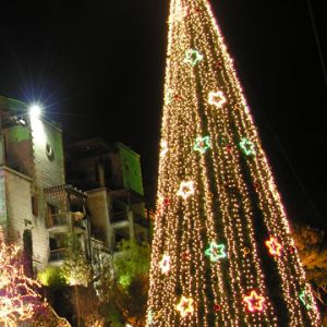 Beleuchteter Weihnachtsbaum