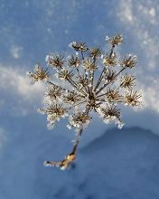 Winterliche Schönheit der Natur