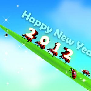 Frohes Neues Jahr 2012