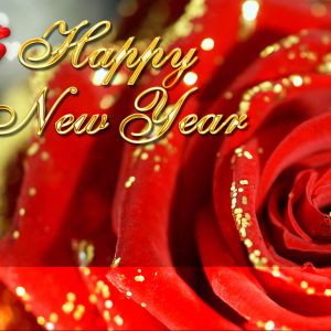 Frohes Neues Jahr Rose