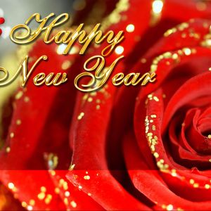 Frohes Neues Jahr Rose