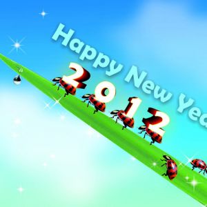 Frohes Neues Jahr 2012