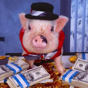Lustiges Schwein mit Geld