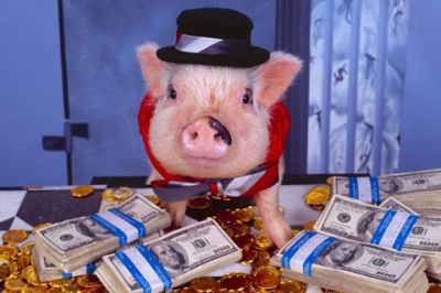 Lustiges Schwein mit Geld