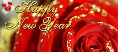 Neujahrsrose