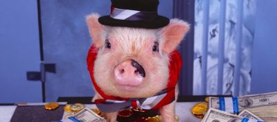 Lustiges Schwein im Zylinder