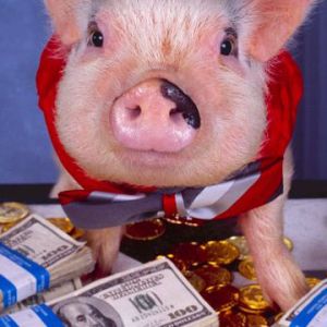 Elegantes Schwein mit Geld