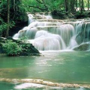 Ruhiger Wasserfall im Üppigen Wald