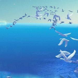 Ruhiger Ozean mit Fliegenden Vögeln